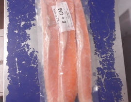 LƯỜN CÁ HỒI 5 CM + VIP